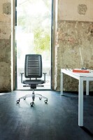 Girsberger Reflex mit Lumbalstütze - gepolsterter Bürodrehstuhl mit Netzrücken (Schnell-Lieferprogramm)