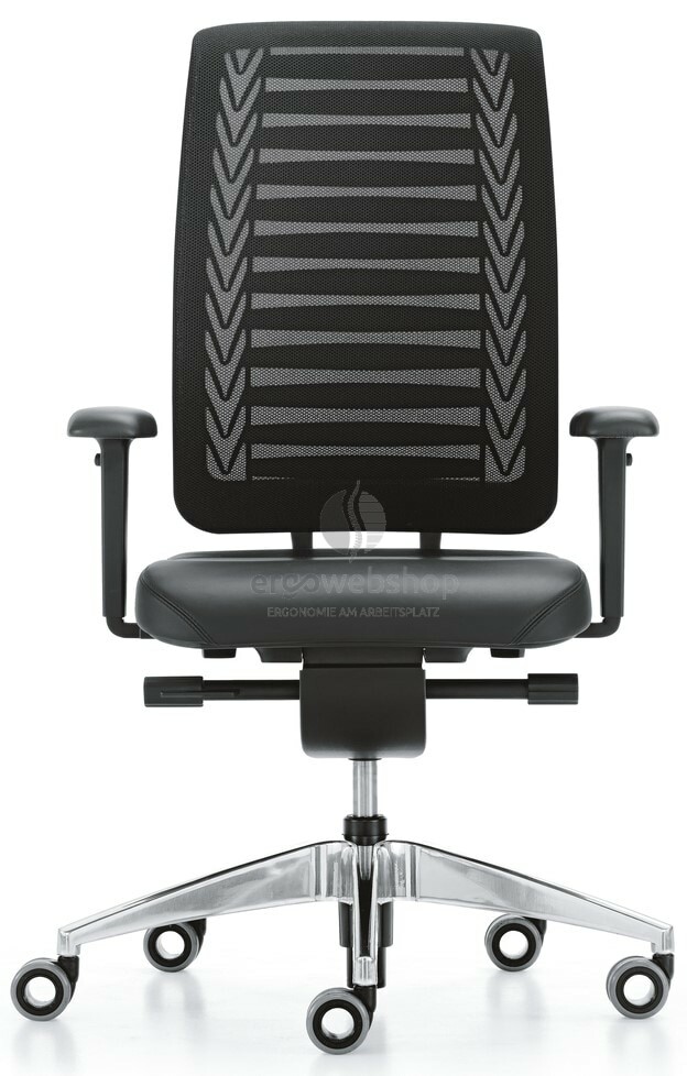 Girsberger Reflex ohne Lumbalstütze box