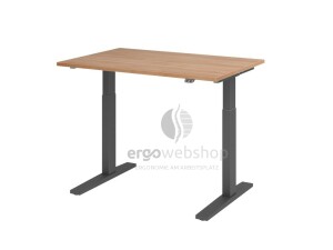 Hammerbacher electrically height-adjustable desk XMKA