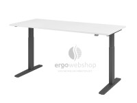 Hammerbacher electrically height-adjustable desk XMKA