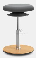 Löffler Ergo 1 - Sitzhocker mit Bodenwippe, Pendelhocker oder Stehhilfe (Ø 30 cm)