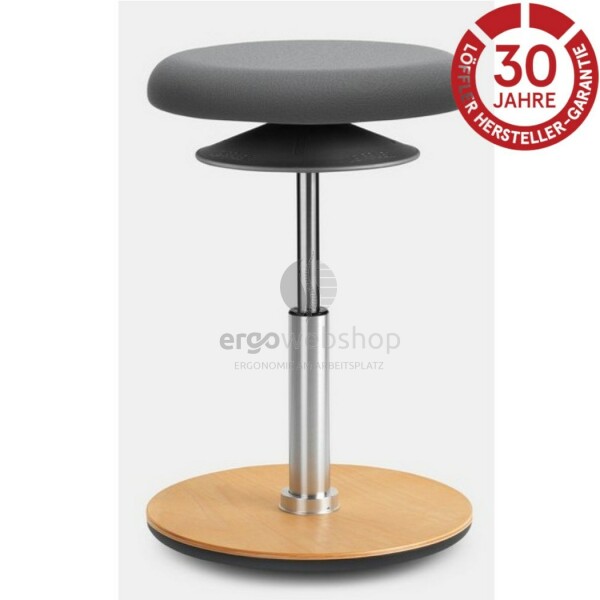 Löffler Ergo 2 M - pendulum stool / ergonomic mobile seat (Ø 37 cm)