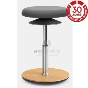 Löffler Ergo 2 M - pendulum stool / ergonomic mobile seat (Ø 37 cm)