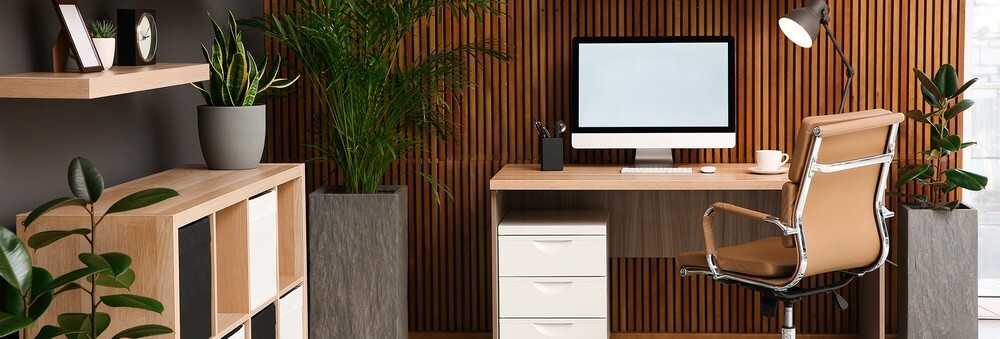 Cozy Office