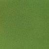 Seat cover 010 May green