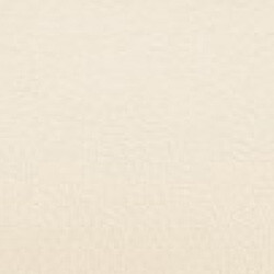 PG C artificial leather KL (208X2380-X08-eggshell)