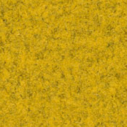 PG C Fabric BZ (CUZ3M)