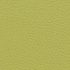 PG D Leather OT (Spring)