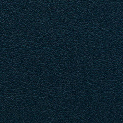 PG E Leather BR (Butter Navy)