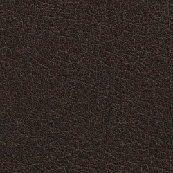 PG E Leather BR (Butter Chocolate)