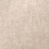 PG B Fabric FS (401)