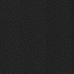 PG C artificial leather KL (207X2782)