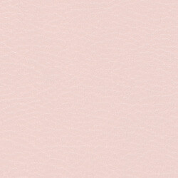 PG C artificial leather KL SO (206x227)