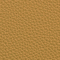 PG D Leather OT (L34-Peru)