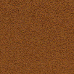 PG E Leather BR (Butter Whiskey)