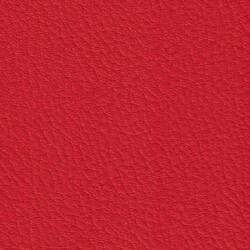 PG C artificial leather KL (207X4862)