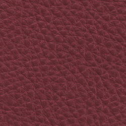 PG D Leather OT (L07-Scarlet)