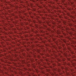 PG D Leather OT (6650-L15-Red)