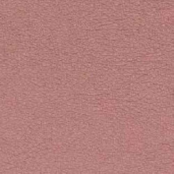 PG E Leather BR (Butter-Lichi)