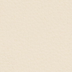 PG E Leather BR (Butter Powder)
