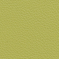PG D Leder OT (Spring)