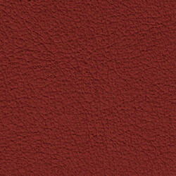 PG E Leather BR (Butter Tomato)