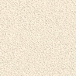 PG C artificial leather KL (208X4643)
