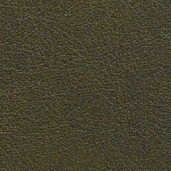 PG E Leather BR (Butter-Fango)