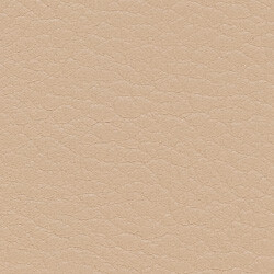 PG C artificial leather KL SO (206X226-Beige)