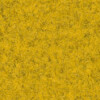 PG C Fabric BZ (CUZ3M)