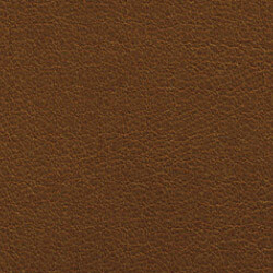 PG E Leather BR (Butter-Cinnamon)