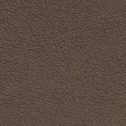 PG E Leather BR (Butter Truffle)