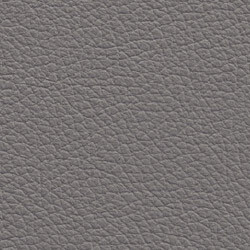 PG D Leder OT (L42-Kiesel)