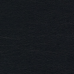 PG D Kunstleder SM (F6461486-Y65-Panther)