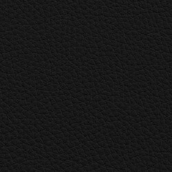 PG D Leder OT (L04-Schwarz)