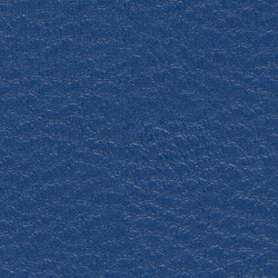 PG C Kunstleder KL SO (206x211-Blue)
