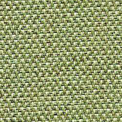 PG A Fabric EA (CSE34-A71-Fern)