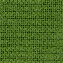 PG D Fabric LO (91-D02-Rainforest)