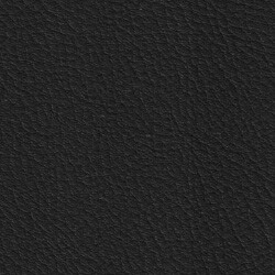 PG C artificial leather KL (207X2782-Y53-Black)