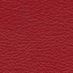 PG C artificial leather KL SO (206X207)