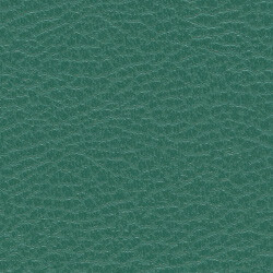 PG C Kunstleder KL SO (206X209-Green)