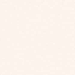 PG C artificial leather KL SO (206x212)