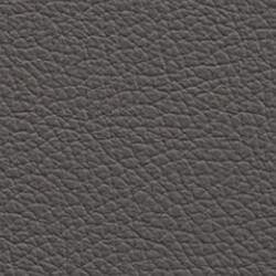 PG D Leather OT (L03-Elephant)