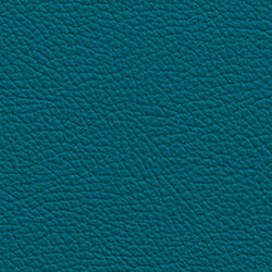 PG D Leather OT (L49-Turquoise)