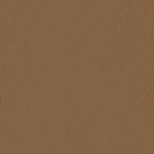 Valencia VL0002 Cognac