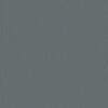 Valencia VL4043 Platinum