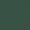 Valencia VL5069 Green