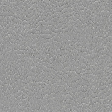 skai Parotega NF730 silver grey