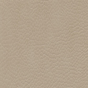 skai Parotega NF661 birch