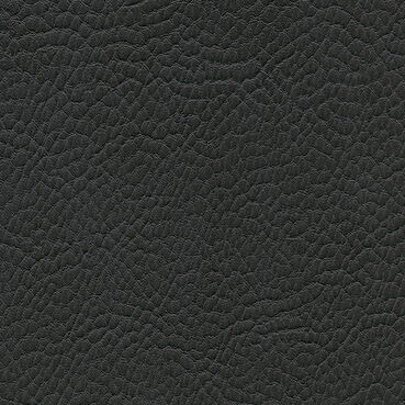 skai Parotega NF763 cinder
